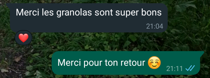 Granolas NATURALKHAIR - Fait maison, artisanale, Alkaline, inspiré de la liste du docteur SEBI – Image 6